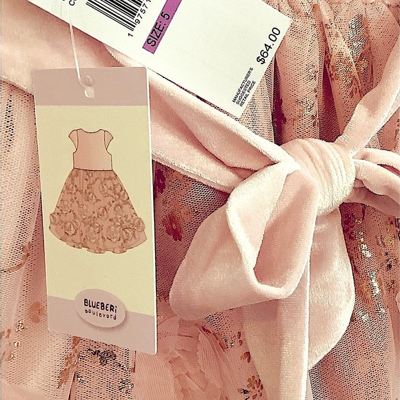 NWT BlueBeri Pink Layered dress, silver/gold accents, rows of flowers - Picture 7 of 11